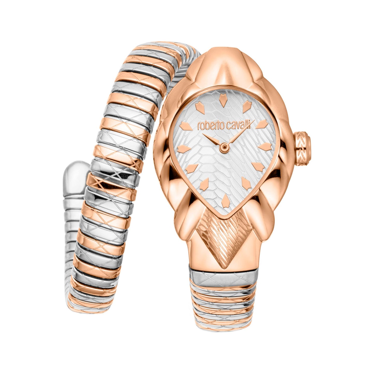 Montres Roberto Cavalli
