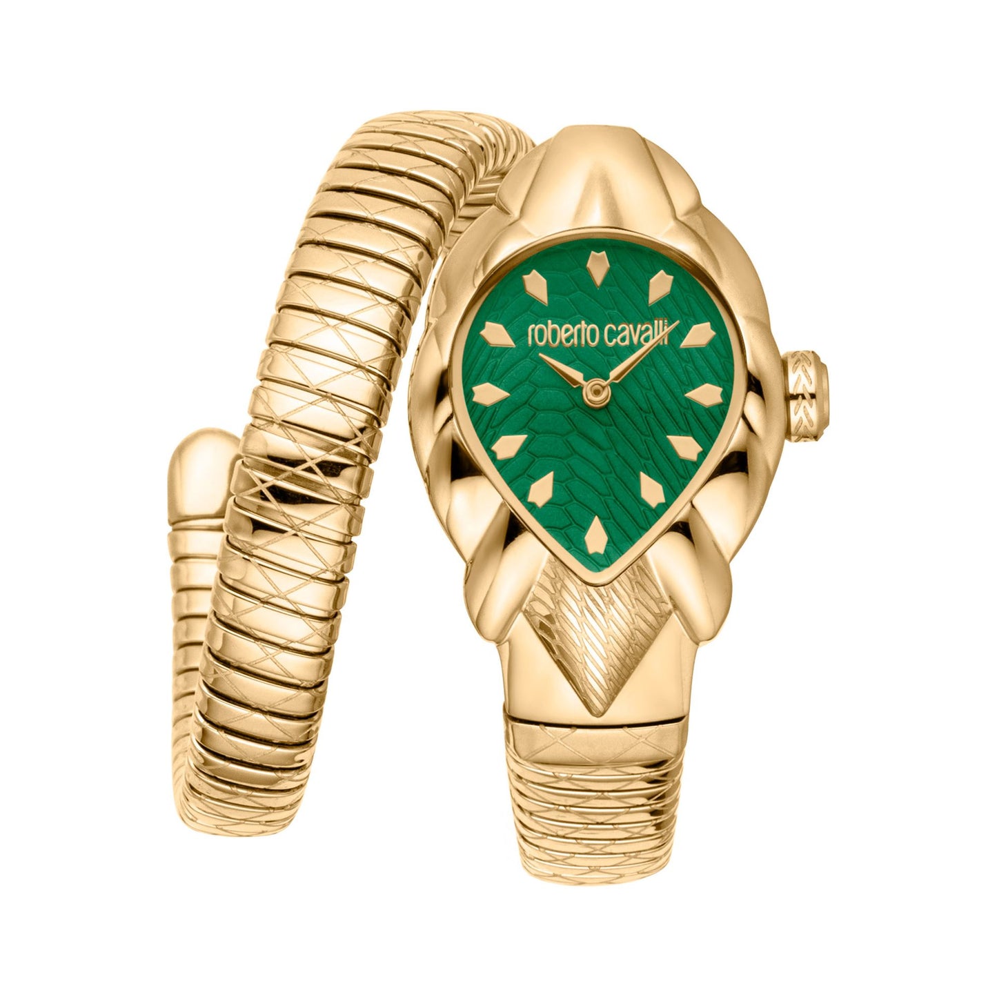 Montres Roberto Cavalli