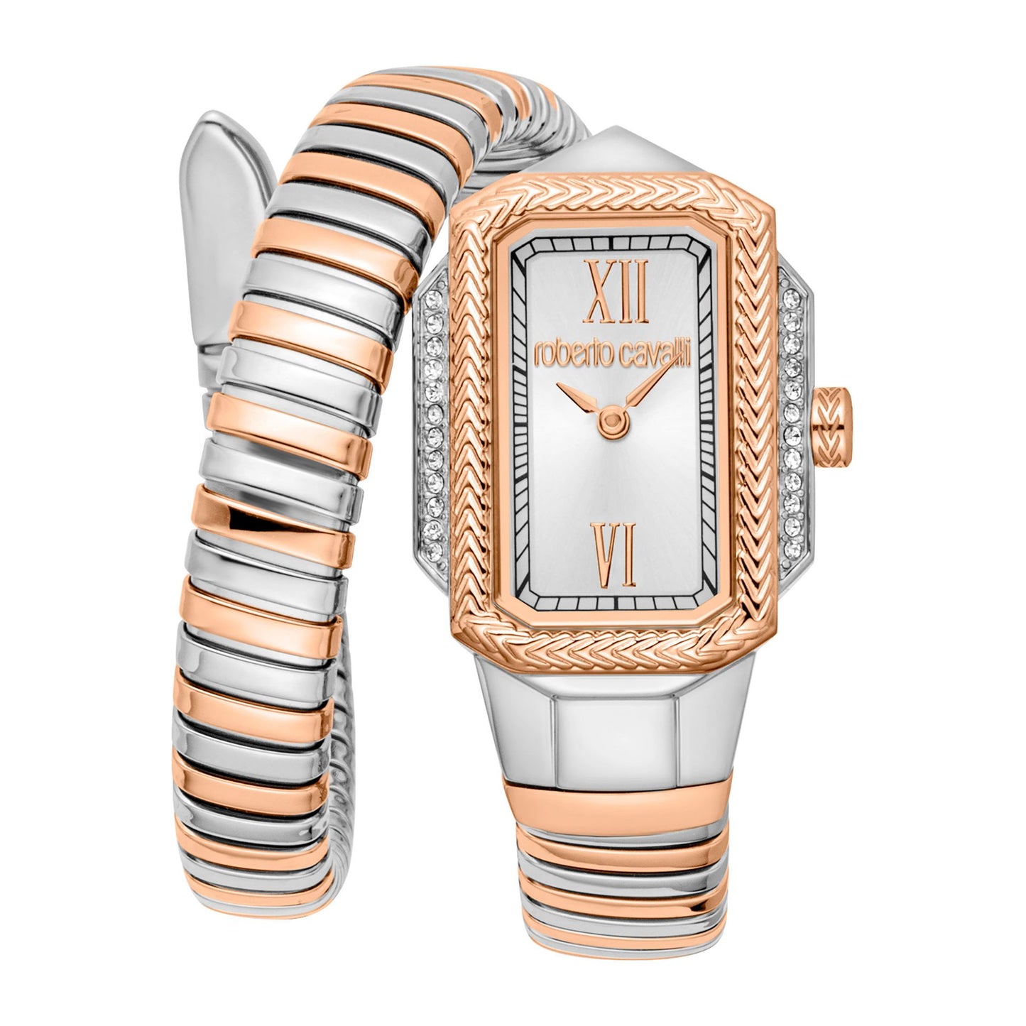 Montres Roberto Cavalli