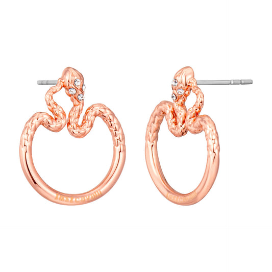 Boucles d'oreilles Just Cavalli