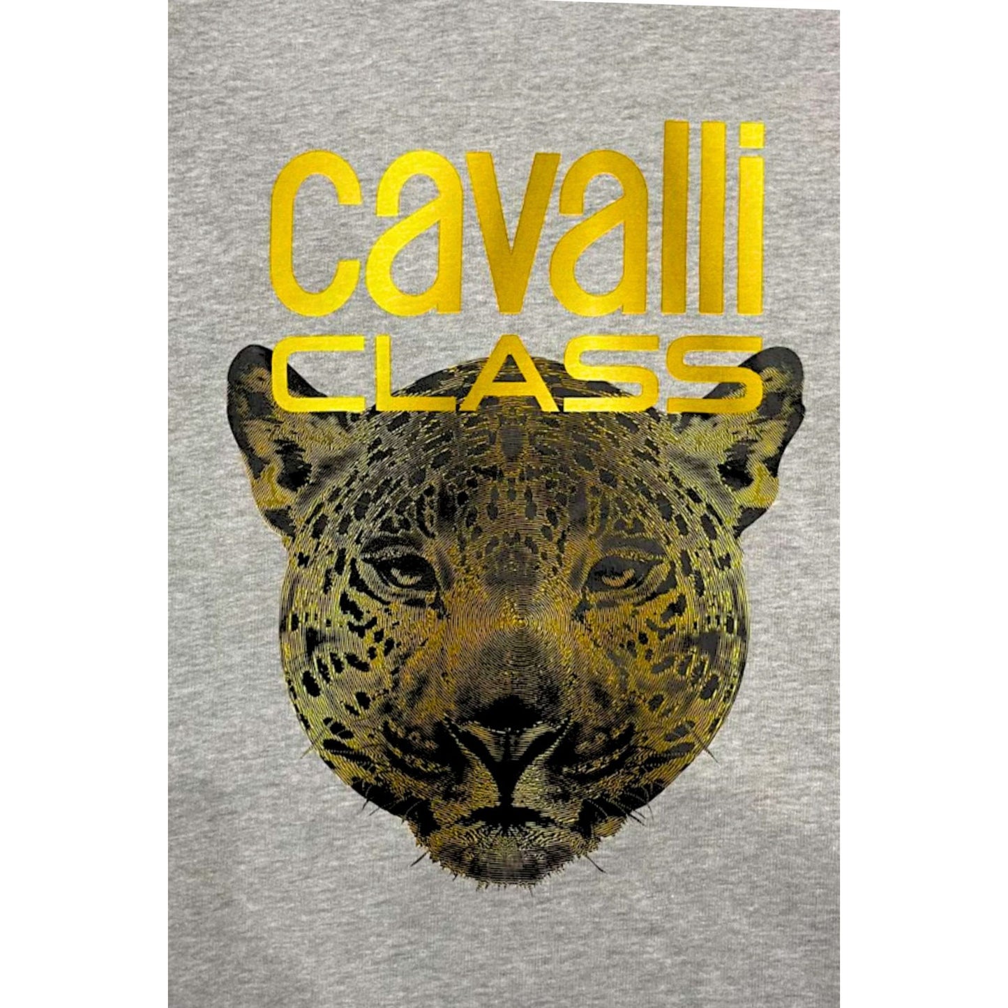 Sweat Cavalli Class